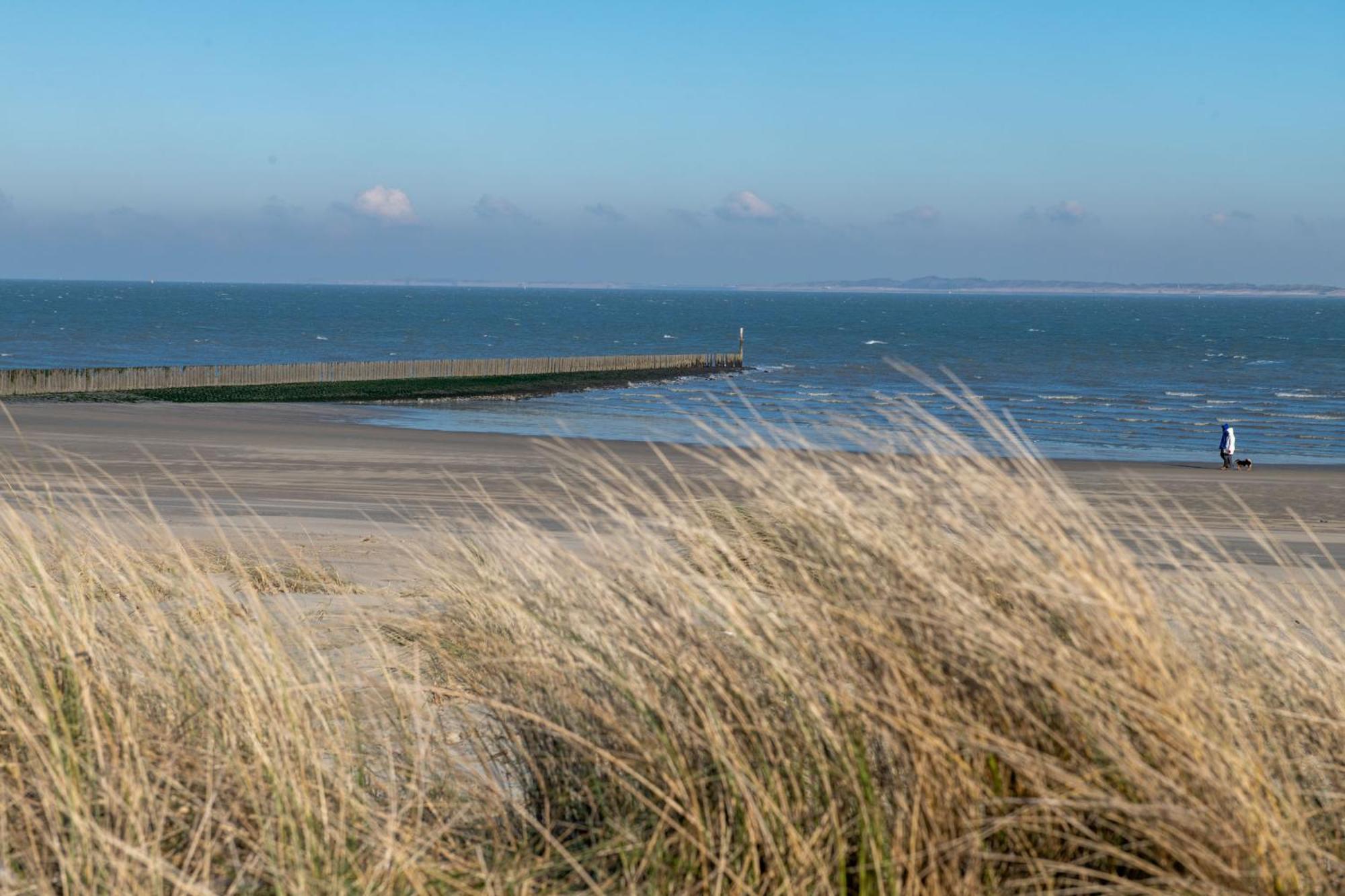 Kustverhuur, Groede, Paarlhof 17 Exteriér fotografie