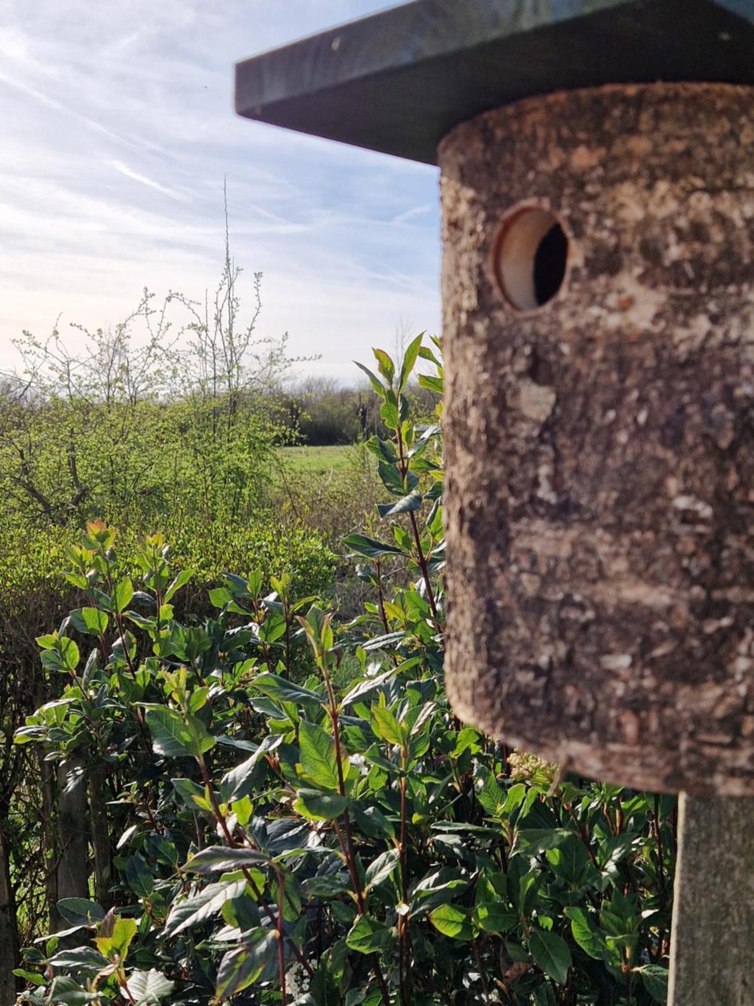 Kustverhuur, Groede, Paarlhof 17 Exteriér fotografie